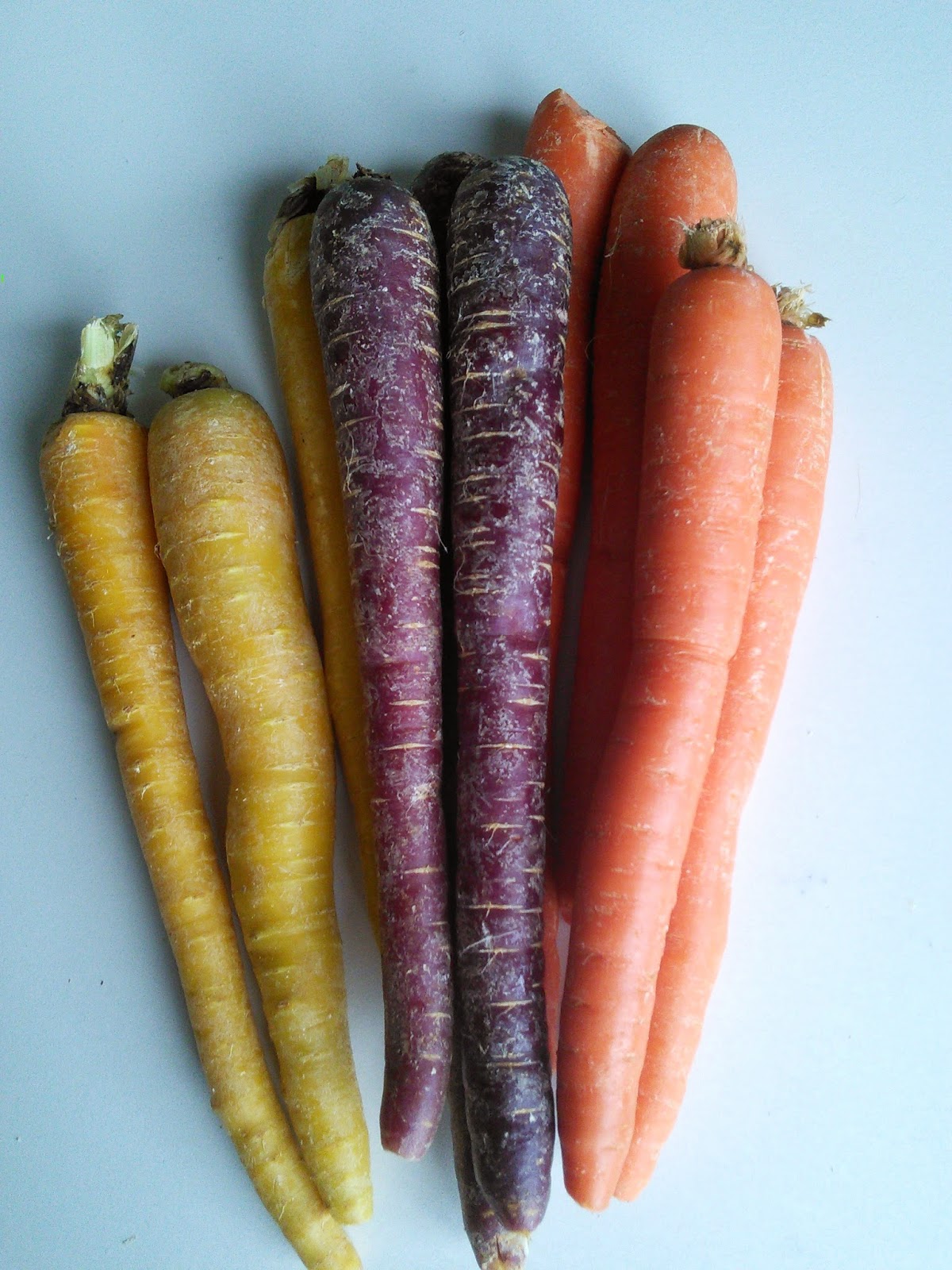 Thursday, October 2, 2014